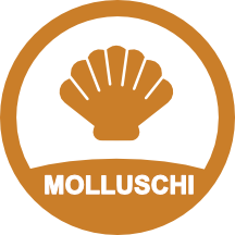 molluschi