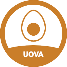 uova